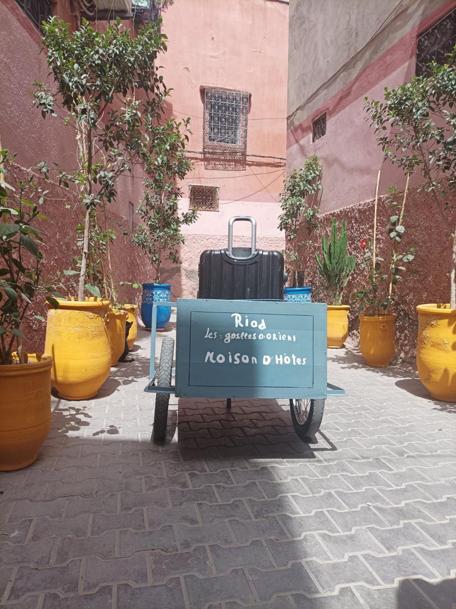 Riad Les Gazelles D'Orient Marrakech Marrakesh Exterior photo